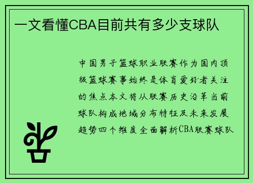 一文看懂CBA目前共有多少支球队