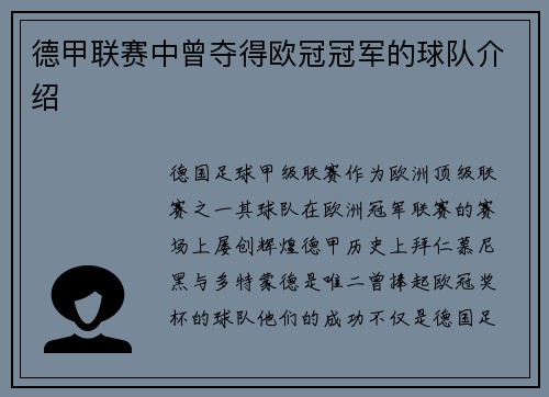 德甲联赛中曾夺得欧冠冠军的球队介绍